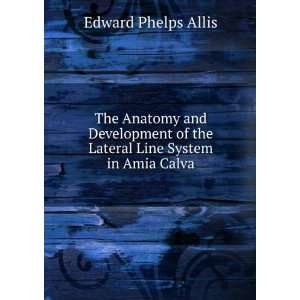   of the Lateral Line System in Amia Calva Edward Phelps Allis Books