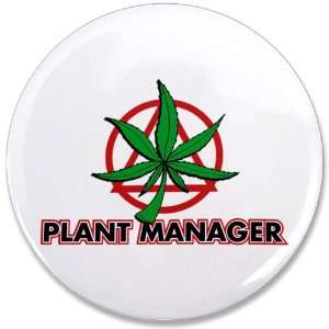  3.5 Button Marijuana Plant Manager 