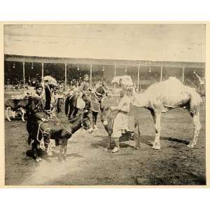  1893 Chicago Worlds Fair Cairo Street Camel Donkey 