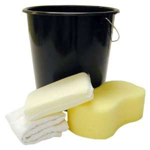    Detailers Choice 9 45 Wash & Dry Bucket Kit 1 each Automotive