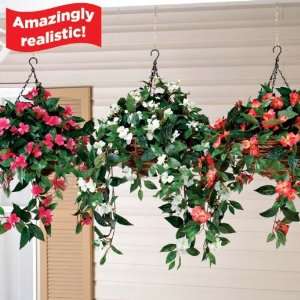  Hanging Impatiens Bush (White) 