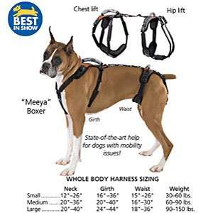  Whole Body Harness