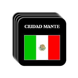 Mexico   CIUDAD MANTE Set of 4 Mini Mousepad Coasters 