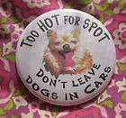 Armours Chicago 69297 Employee Badge Pin Robbins Co. Hot Dog  