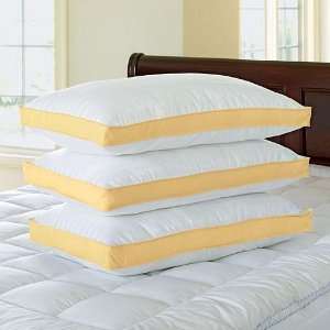    Chaps Medium Density Down Alternative Pillow