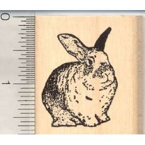  Small Domestic House Rabbit Rubber Stamp Arts, Crafts 