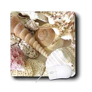  Florene Shells   Florida Keys Seashells   Mouse Pads 