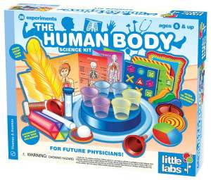   Thames & Kosmos Little Labs The Human Body by Thames 