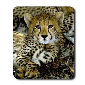 Cheetah Animal Mousepad by 