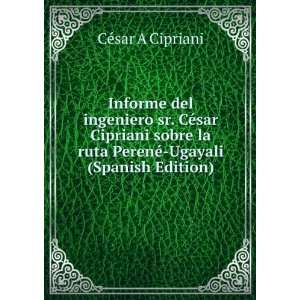   ruta PerenÃ© Ugayali (Spanish Edition) CÃ©sar A Cipriani Books