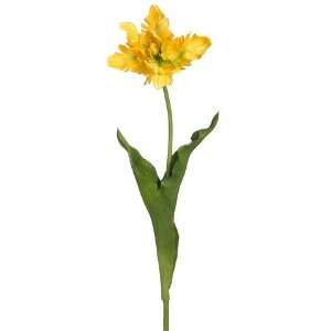  30.5 Giant Parrot Tulip Spray Yellow Gold (Pack of 12 