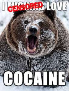 Grizzly Bear Loves Cocaine Funny Snow Blow LOL Magnet  