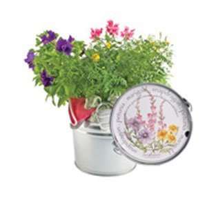  Mixed Flowers Garden in a Pail #GP FLOW GN Everything 