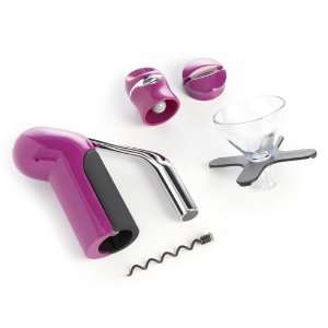  Houdini 9976 5 Piece Gift Set Plum