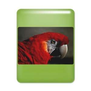  iPad Case Key Lime Scarlet Macaw   Bird 