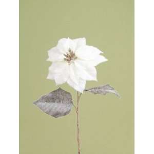 Pack of 12 Snow Drift White Frosted Poinsettia Christmas Floral Stems 