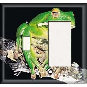  Switch / Rocker Plate   Snobby Frog