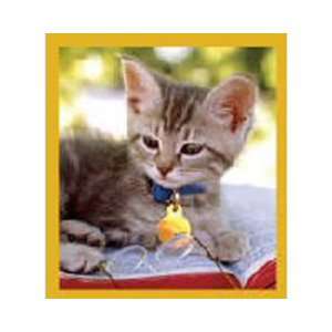  Magnetic Bookmark Smart Kitty, Beautiful and Colorful 