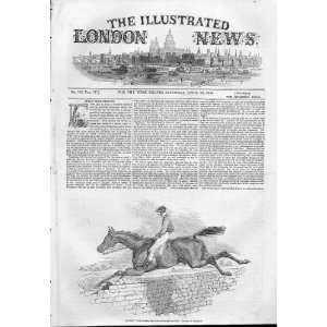 Lottery Steeplechase Winner By Herring 1844 Horse