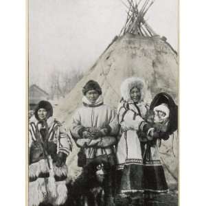  A Group of Samoyeds from Siberia with their Dog Stretched 