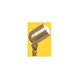   Directional Light   Brass Mini Bullet, Natural Brass