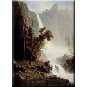  Bridal Veil Falls, Yosemite 21x30 Streched Canvas Art by 