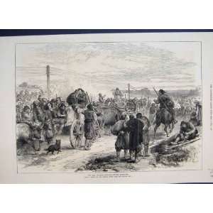  1876 Wounded Servian Leaving Alexinate Cart Horse Print 