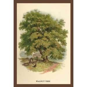  Exclusive By Buyenlarge Walnut Tree 12x18 Giclee on canvas 