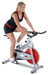 Stamina CPS 9200 Indoor Cycle Training Stationary Cycling Exercise 