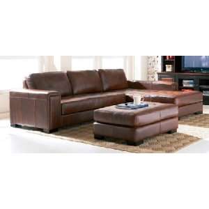   Leather Sectional Coaster Sectionals 