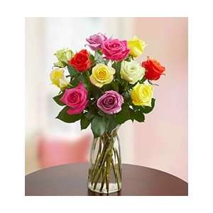  Flowers by 1800Flowers   One Dozen Assorted Roses