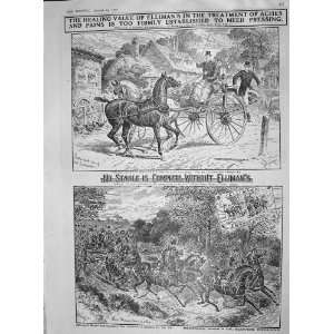   1907 ADVERTISEMENT ELLIMANS EMBROCATION HORSES ANIMALS