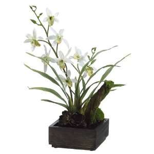    Pack of 4 Artificial Potted Cream Orchid Plants 11