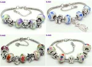 new style beautiful charm bracelet fit Europe bead SA6  