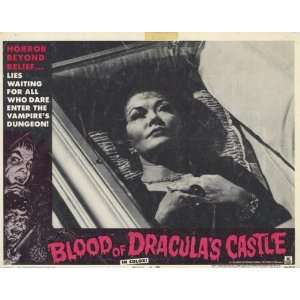  Blood of Draculas Castle   Movie Poster   11 x 17