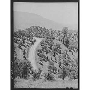   County, California. Road through the hilly country