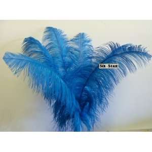Ostrich Deluxe Formal Turquoise  Feather Plume 18 24Long 10 Pcs.  to 