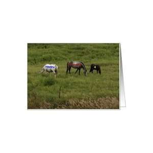  Age 4, Birthday Horses Grazing, Humor Card Toys & Games