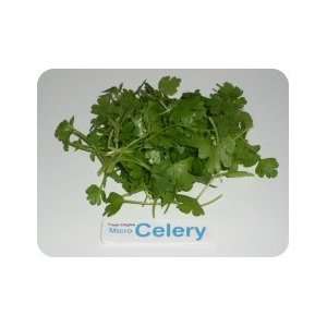 Micro Greens   Celery   4 x 8 oz Grocery & Gourmet Food
