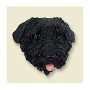  Bouvier Des Flanders Magnet