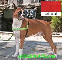 EASY WALK HARNESS & LEASH ECO DOG RED SMALL 759023086941  