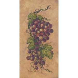  Barbara Mock   Vintage Grapevine ll Canvas