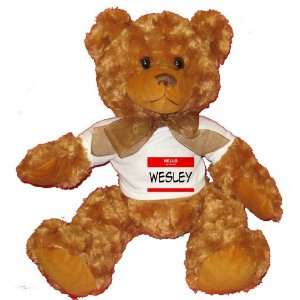  HELLO my name is WESLEY Plush Teddy Bear with WHITE T 