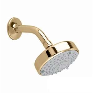   Showerhead, 4 3/4 Inch Diameter Easy Clean Showerhead, Polished Brass