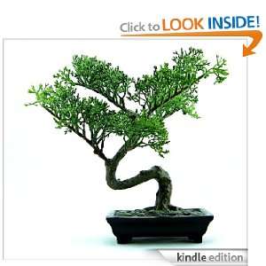 The Art of Bonsai   Everything you need to successfully grow and look 