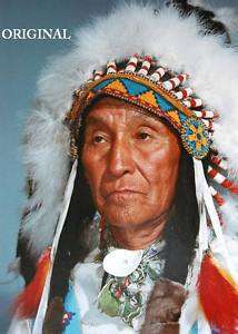 Cree Indian Chief Cross Stitch Pattern Native American  