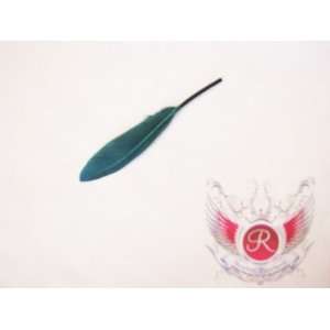  Indy Rock Hair Extension Feathers (Teal) Beauty