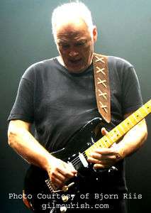SUEDE GUITAR STRAP FEATURED ON GILMOUR ISH  