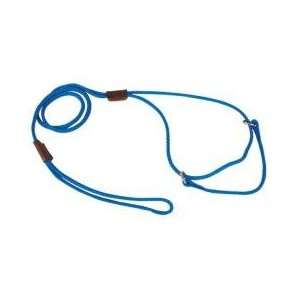  Martingale Show Lead   Small 8 inch Blue