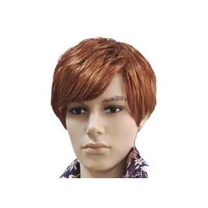  Short Brown Wig for Male Mannequin Toys & Games